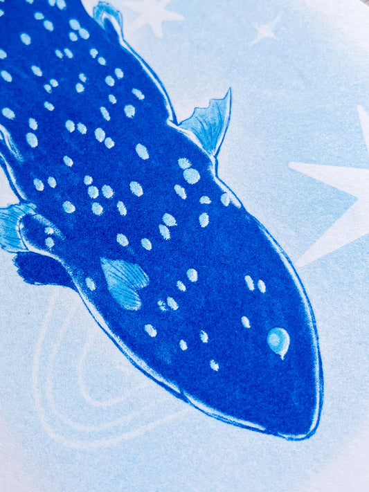 Coelacanth Risograph Print